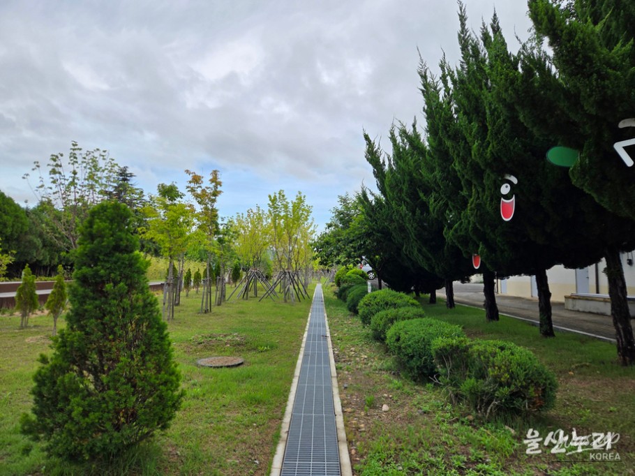 Exploring Ulsan Forest: A Natural Retreat in the City_04