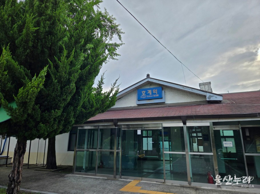 Exploring Ulsan Forest: A Natural Retreat in the City_03