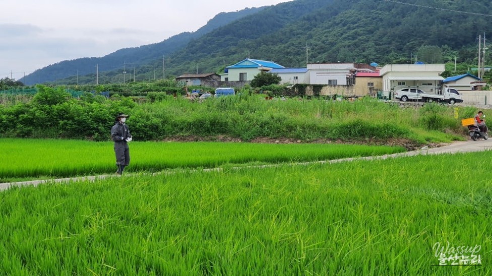 Tomorrow Dream Cooperative: Pioneering Drone Technology for Agriculture and Logistics_10