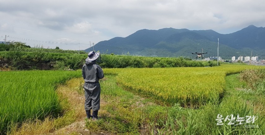 Tomorrow Dream Cooperative: Pioneering Drone Technology for Agriculture and Logistics_05