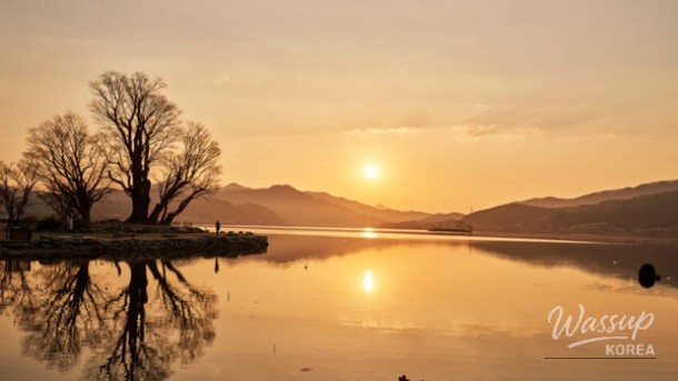 Perfect Summer Outings for Families with Seniors_03