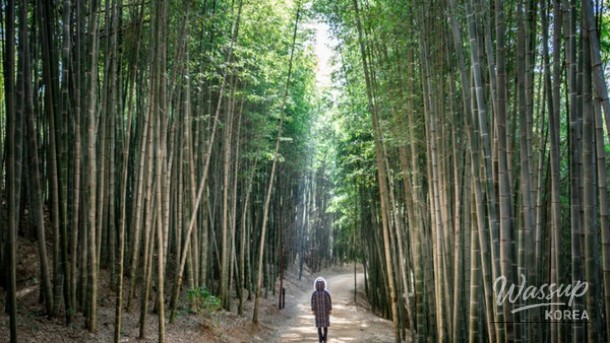Perfect Summer Outings for Families with Seniors_04