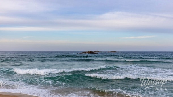 Perfect Summer Outings for Families with Seniors_02