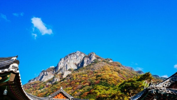 Explore the Hidden Gems of Jeollado This Early Summer_05