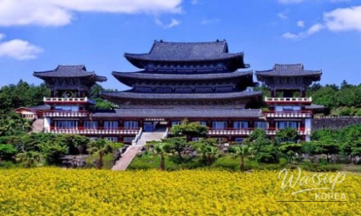 Explore the Hidden Gems of Jeollado This Early Summer_08