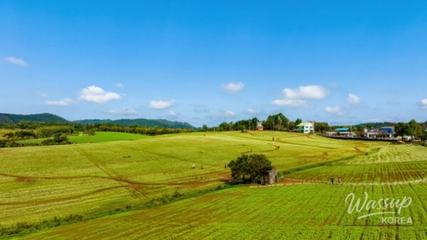 Discover the Best Domestic Spots for Early Summer Outings_03