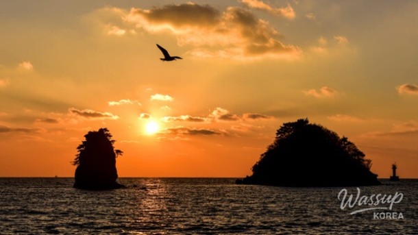 Discover the Best Domestic Spots for Early Summer Outings_05