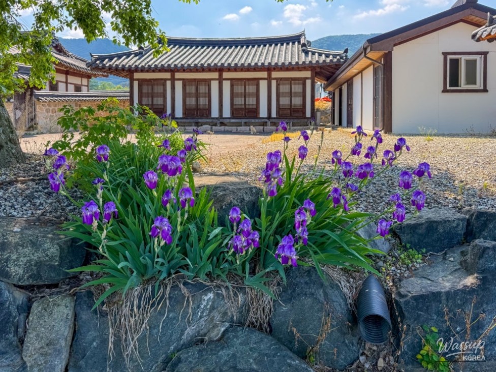Exploring Goeisan: A Journey to Bongseojae_13