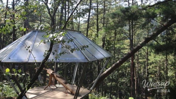 Hidden Gems in Gongju, South Korea: A Summer Retreat_05
