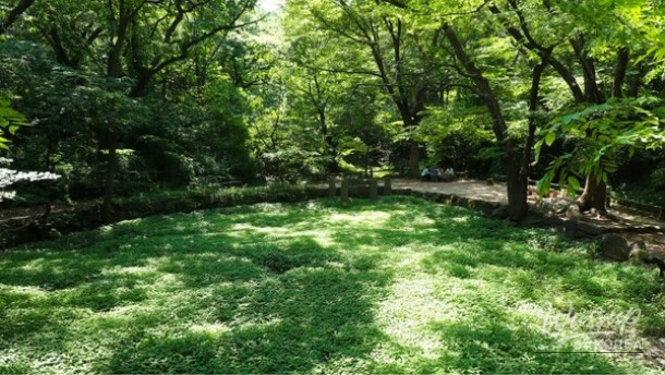 Discovering Baeksasil Valley: A Hidden Gem in the Heart of Seoul_01