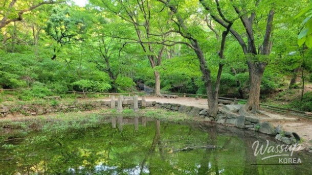 Discovering Baeksasil Valley: A Hidden Gem in the Heart of Seoul_02