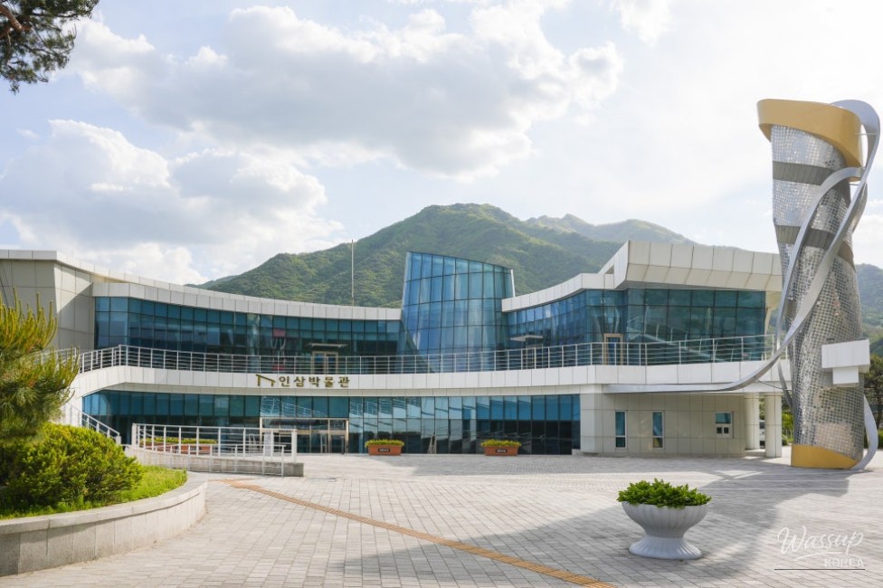 Exploring the Yeongju Ginseng Museum_01