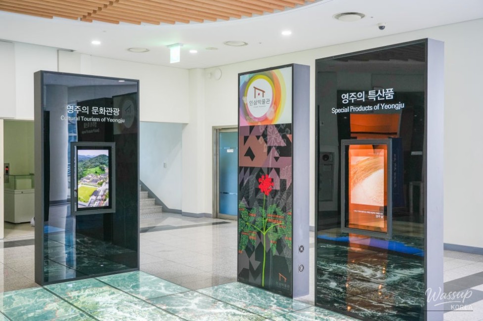 Exploring the Yeongju Ginseng Museum_04