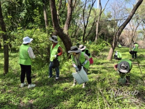 Celebrate World Environment Day at GREEN Han River_04