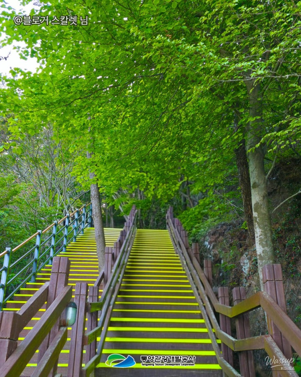 Reasons to Ride the Tongyeong Cable Car: A Must-Visit on Your Trip_08