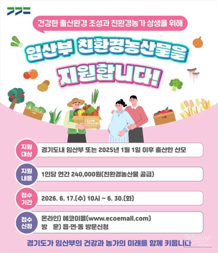 Support Program for Pregnant Women_02