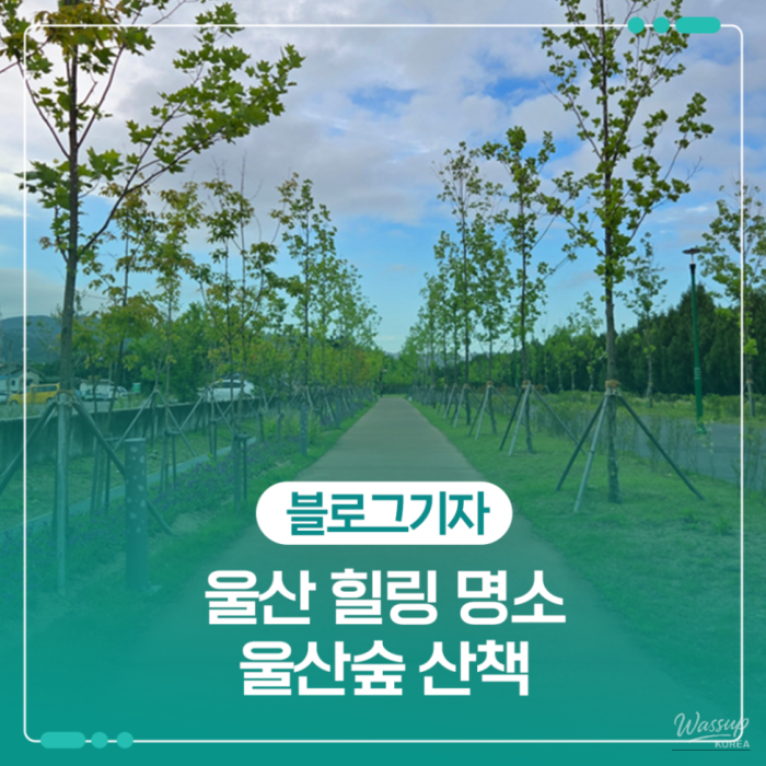 Exploring Ulsan Forest: A Natural Retreat in the City1975