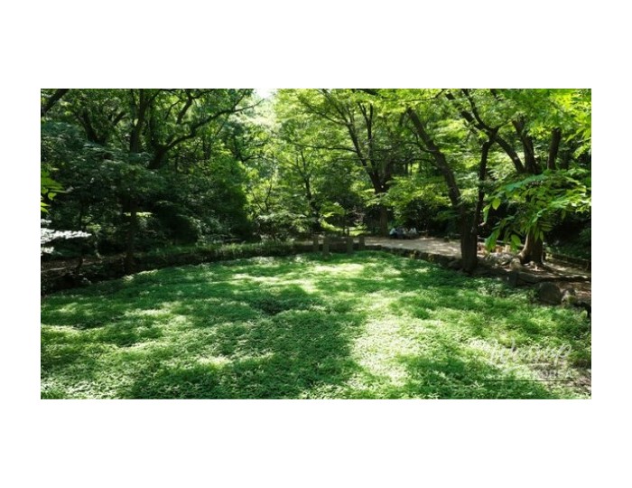 Discovering Baeksasil Valley: A Hidden Gem in the Heart of Seoul float