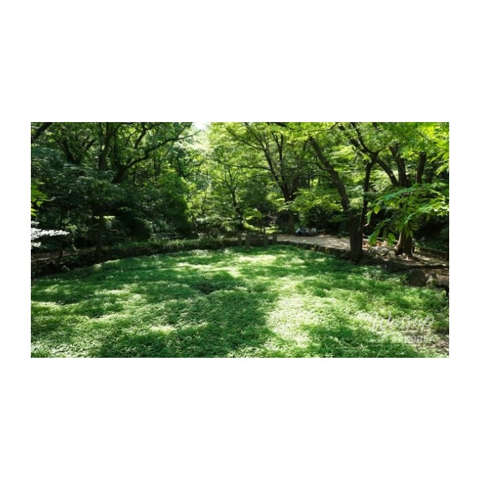 Discovering Baeksasil Valley: A Hidden Gem in the Heart of Seoul4152