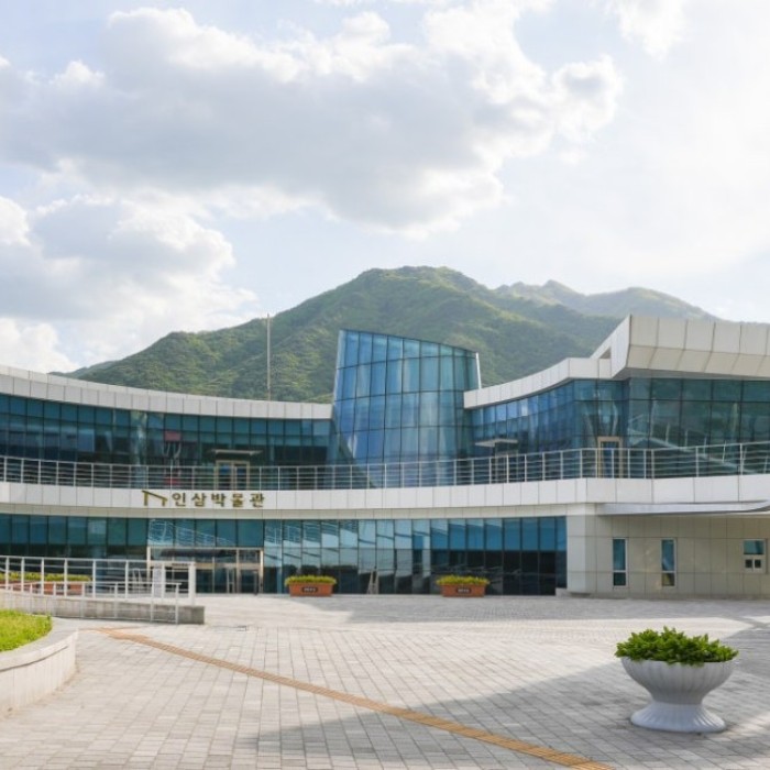 Exploring the Yeongju Ginseng Museum1976