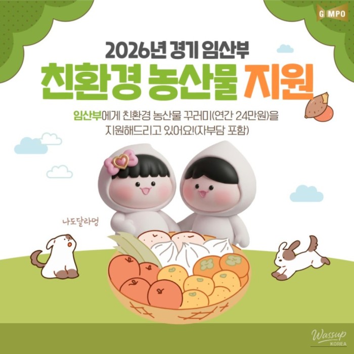 Support Program for Pregnant Women1328