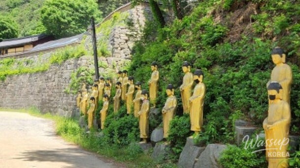 Discovering the Tranquility of Buyeo Miamsa Temple_05