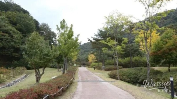 Discovering the Serene Beauty of Sutasa and Gongjak Mountain Ecological Forest_02