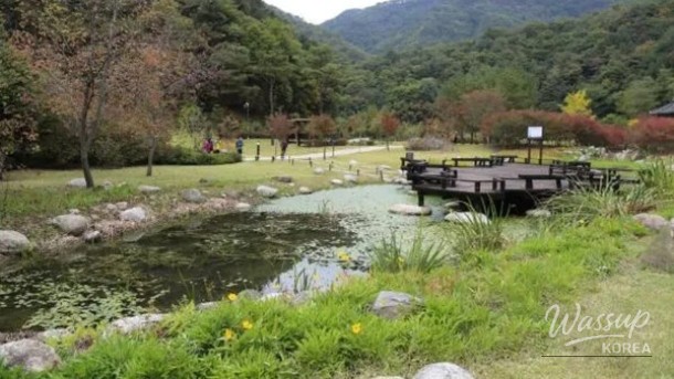 Discovering the Serene Beauty of Sutasa and Gongjak Mountain Ecological Forest_01