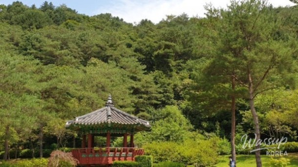 Discovering the Serene Beauty of Sutasa and Gongjak Mountain Ecological Forest_04