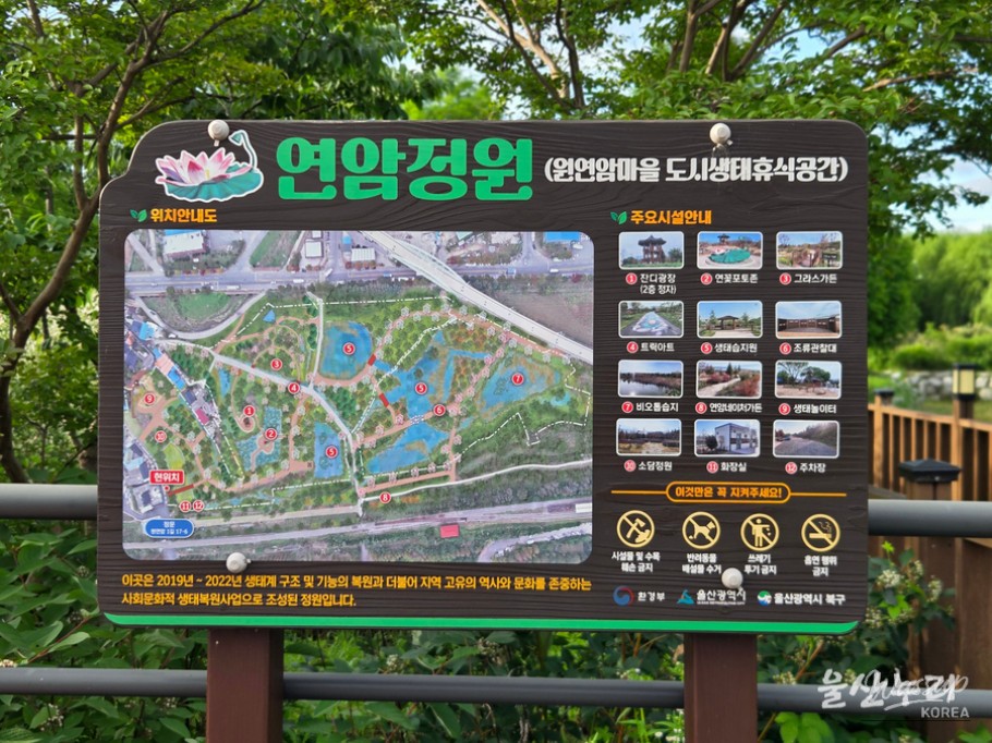 Discovering Ulsan's Hidden Gem: Yeonam Garden_03