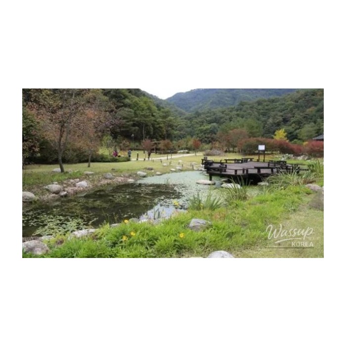 Discovering the Serene Beauty of Sutasa and Gongjak Mountain Ecological Forest4163