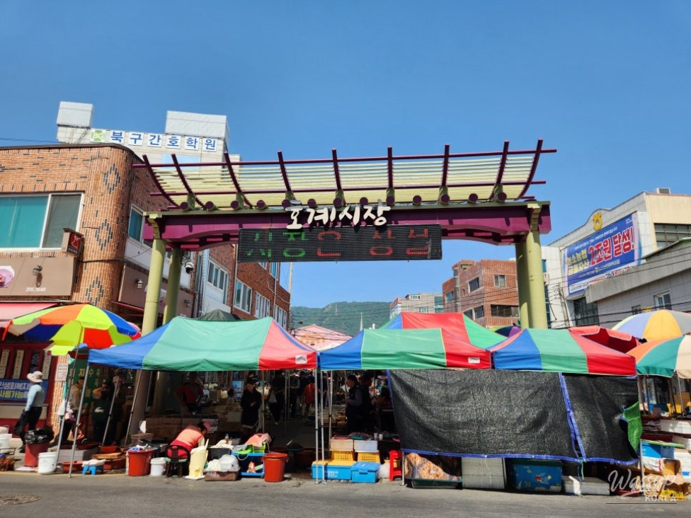 Exploring the Vibrant Hogye Public Market in Ulsan_02