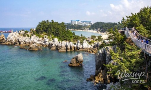 A Day Trip to Cheonan: History, Culture, and Culinary Delights_01