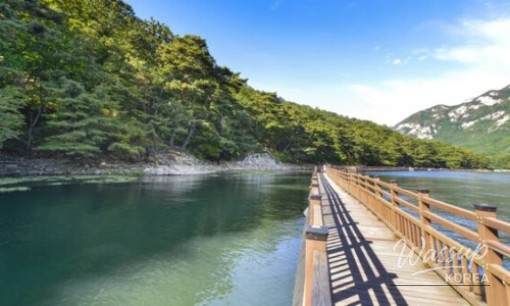 Discovering the Serenity of Yeonhui Natural Garden_12