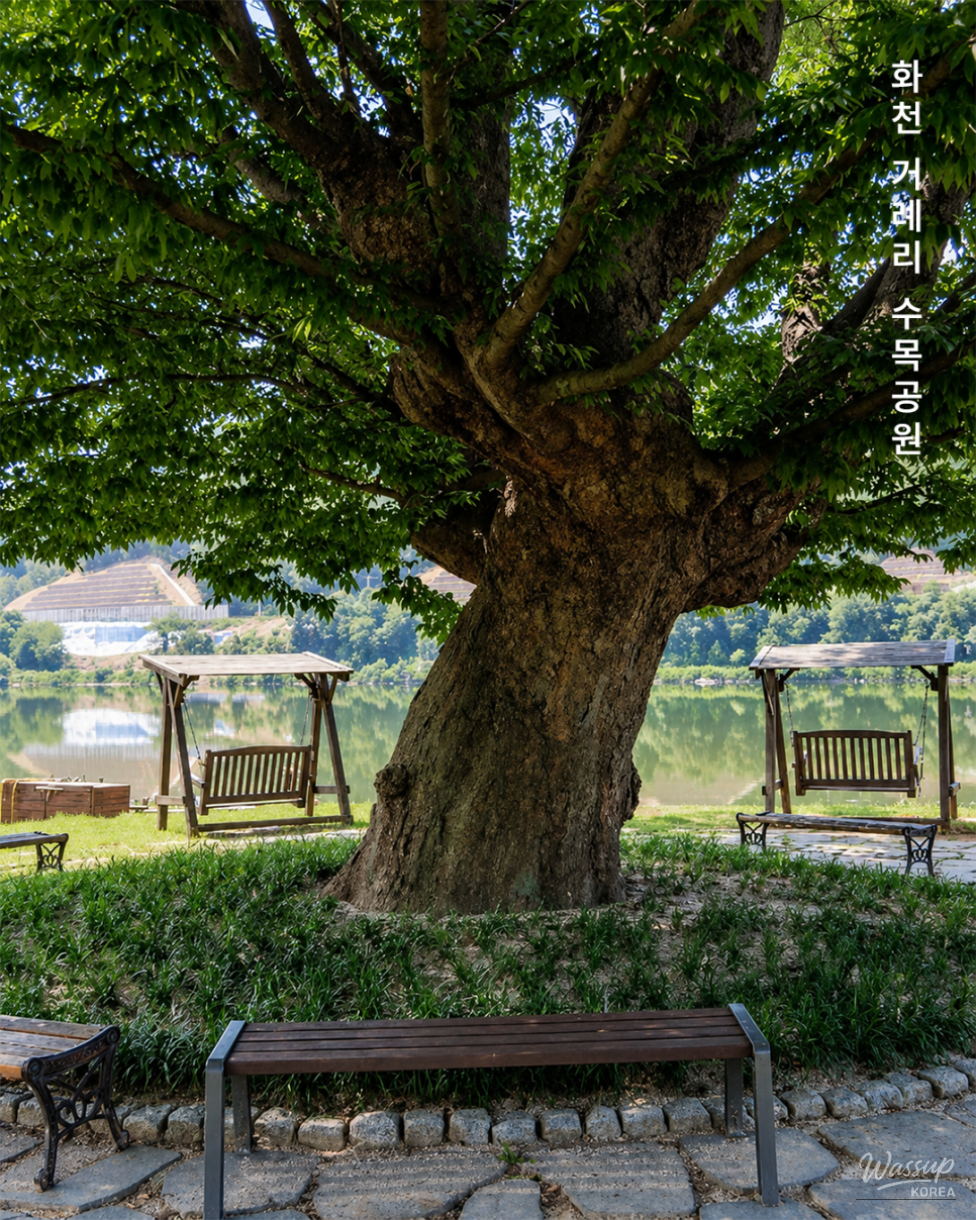 Discovering the Beauty of Hwacheon Gorye-ri Arboretum_04