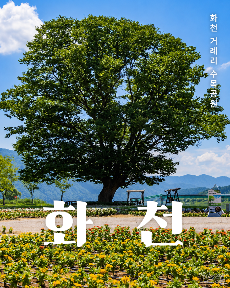 Discovering the Beauty of Hwacheon Gorye-ri Arboretum_01