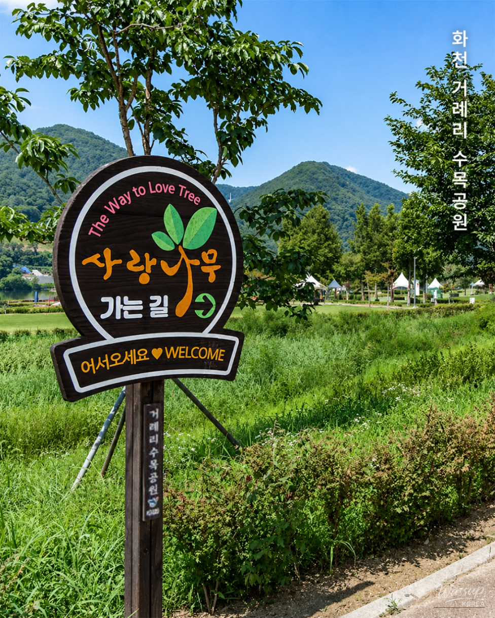 Discovering the Beauty of Hwacheon Gorye-ri Arboretum_03