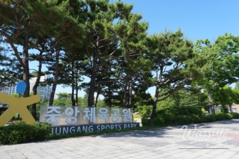 Free Admission to the Beautiful Iksan Rose Garden_04