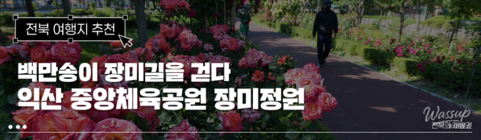 Free Admission to the Beautiful Iksan Rose Garden_01