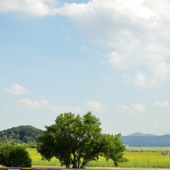 Exploring the Scenic Beauty of Gyeongju's Buwon Temple1980