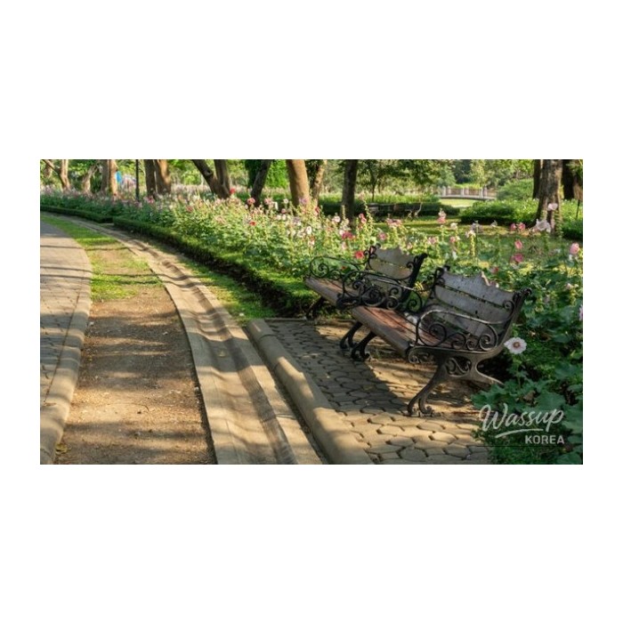 Discovering the Serenity of Yeonhui Natural Garden4182