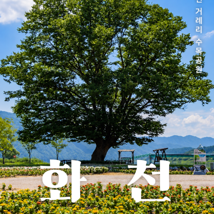 Discovering the Beauty of Hwacheon Gorye-ri Arboretum4178