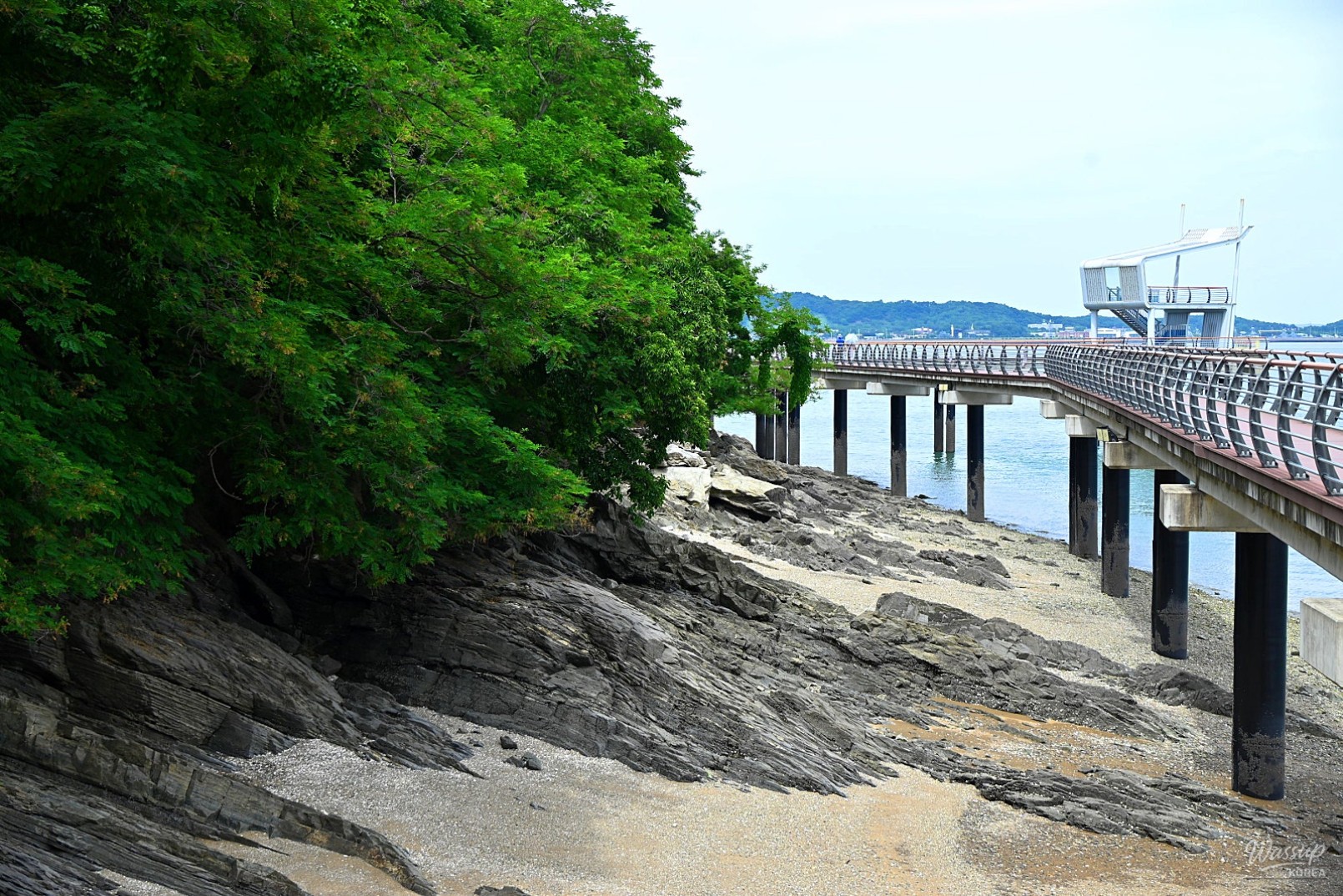 A Unique Healing Path Along the Sea: Hanjin Port and the Coastal Deck Trail in Dangjin_02