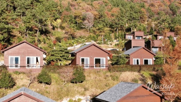 Discover the Serenity of Bonghwangsan Natural Recreation Forest_05