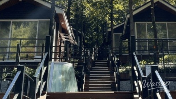 Discovering the Serene Beauty of Daejeon's Metasequoia Forest_05