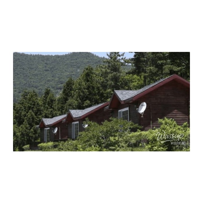 Discover the Serenity of Bonghwangsan Natural Recreation Forest4192