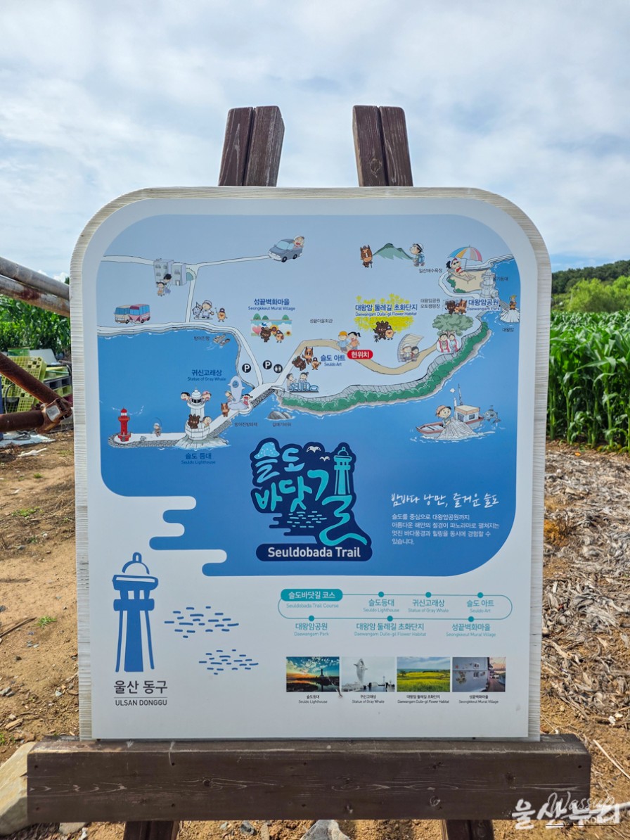 Exploring the Scenic Beauty of Ulsan's Sudo Island_03