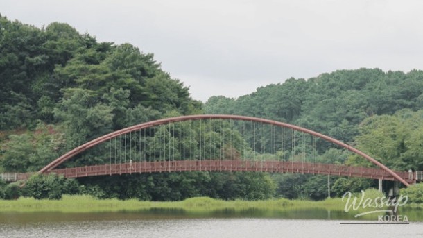 Explore the Tranquil Hongyang Reservoir Walking Trail_03