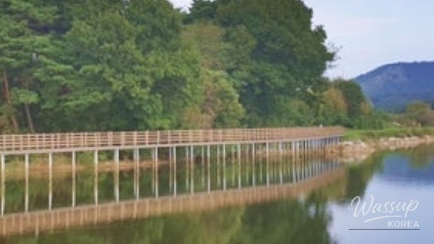 Explore the Tranquil Hongyang Reservoir Walking Trail_01