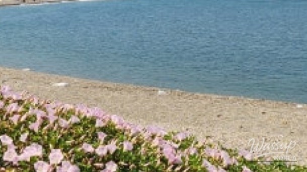 Exploring the Scenic Haepalang Trail: A Nature Lover's Paradise_01